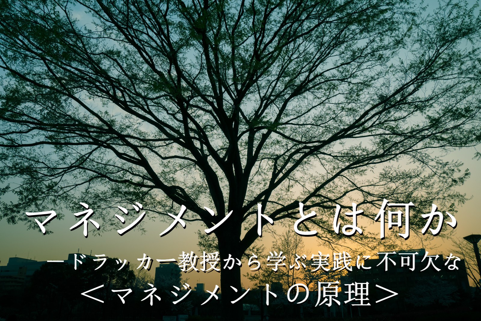 シリーズ一覧 マネジメントとは何か ドラッカー教授から学ぶ実践に不可欠な マネジメントの原理 Dラボ
