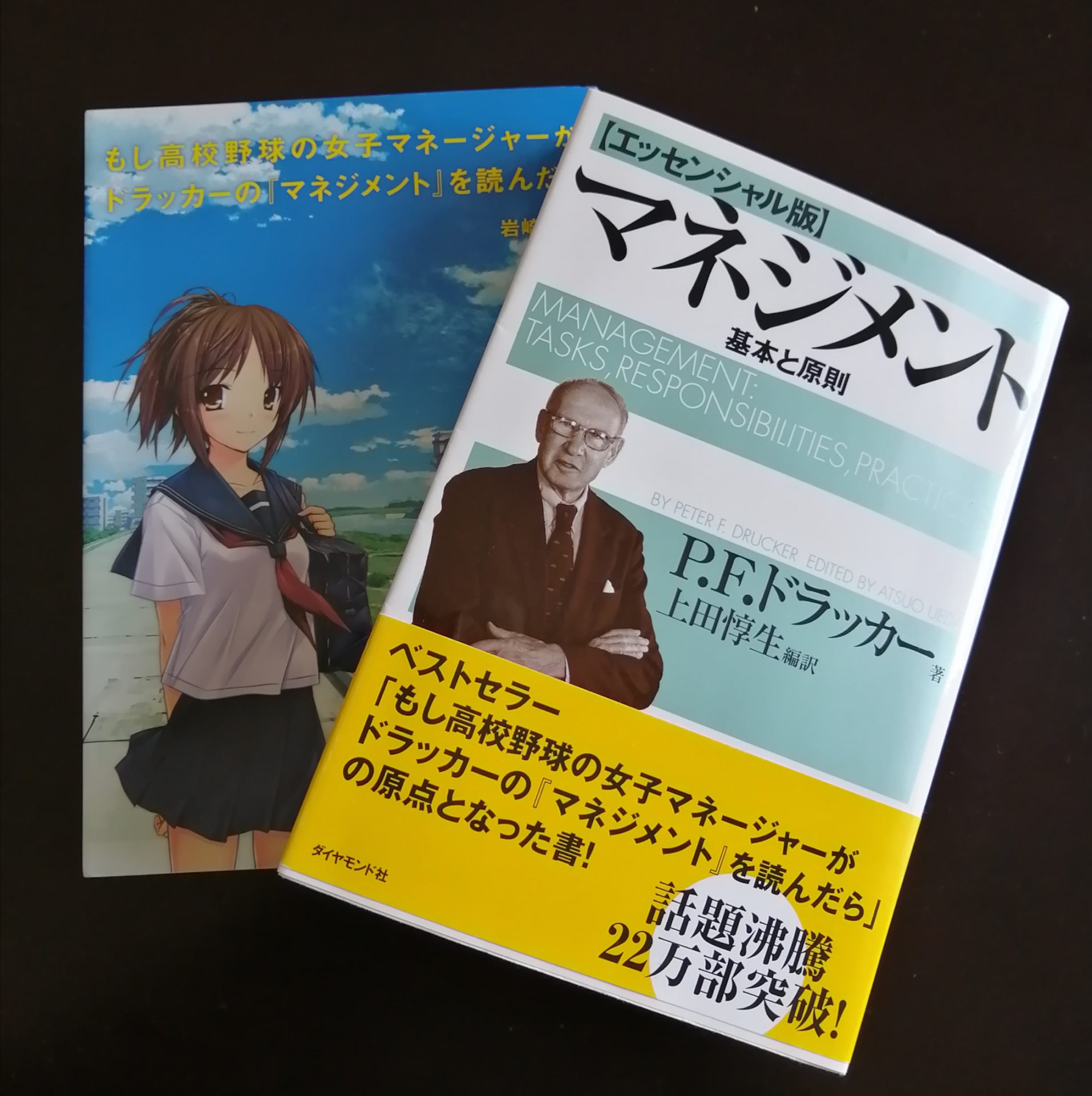 マネジメント[エッセンシャル版]要約とドラッカー学会理事の解説を紹介 | Dラボ